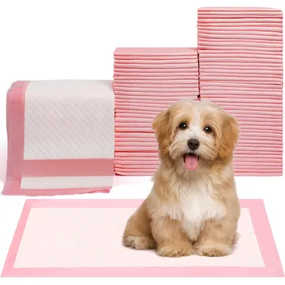 UAMLY Tapis d'apprentissage de la propreté pour animaux de compagnie