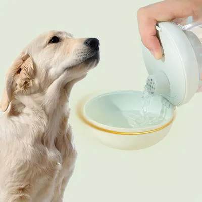 UAMLY Distributeur d'eau portable pour animaux de compagnie