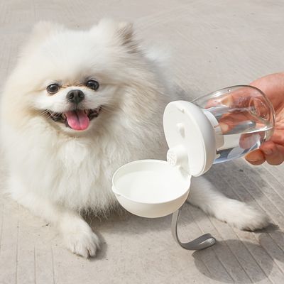 UAMLY Distributeur d'eau portable pour animaux de compagnie