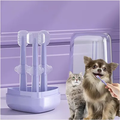 UAMLY Brosse à dents en silicone pour chat