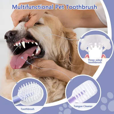 UAMLY Brosse à dents en silicone pour chat