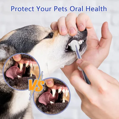 UAMLY Brosse à dents en silicone pour chat