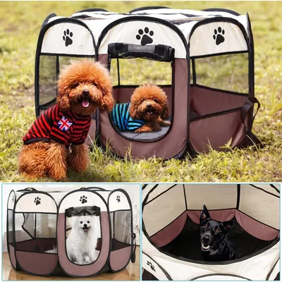 UAMLY Tente pour chat, Parc de Jeu en Tissu