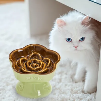 UAMLY Gamelle Slow Food en forme de fleur pour chat