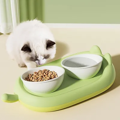 UAMLY Gamelle double surélevée pour chat