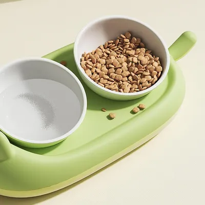 UAMLY Gamelle double surélevée pour chat