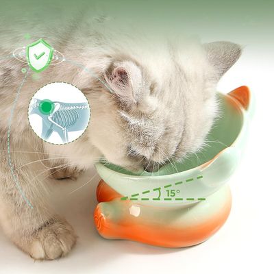 UAMLY Gamelle pour chat en céramique dégradée