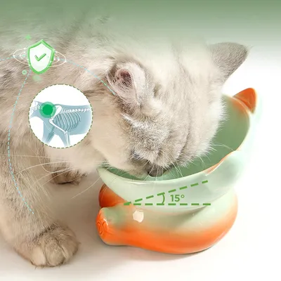 UAMLY Gamelle pour chat en céramique dégradée