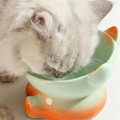 UAMLY Gamelle pour chat en céramique dégradée