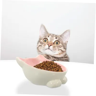 UAMLY Gamelle pour chat à ouverture inclinée