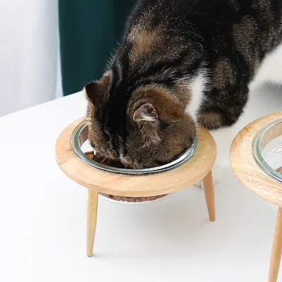 UAMLY cuenco de cristal elevado y ajustable para mascotas
