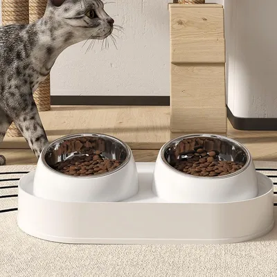 UAMLY Ensemble de bols d'eau et de nourriture pour chat