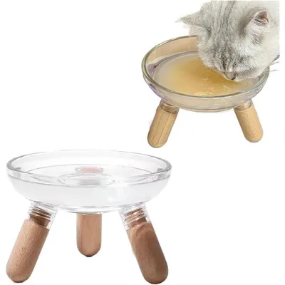 UAMLY Gamelles surélevées pour chats de grand diamètre