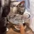 UAMLY Gamelles surélevées pour chats de grand diamètre