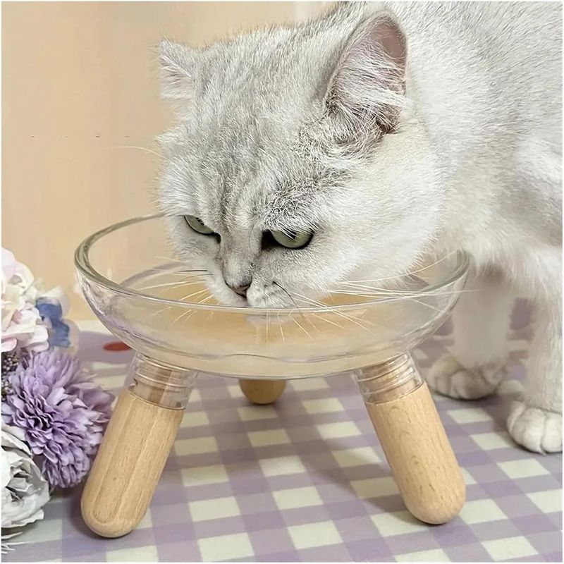 UAMLY Gamelles surélevées pour chats de grand diamètre