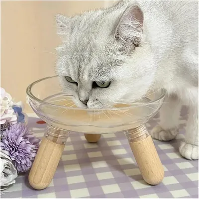 UAMLY Gamelles surélevées pour chats de grand diamètre