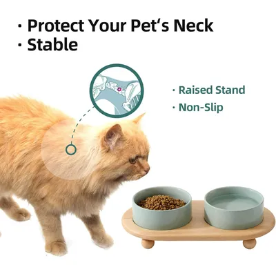 UAMLY Gamelle surélevée en céramique pour nourriture et eau pour chat