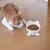 UAMLY Gamelle surélevée inclinée en céramique pour chat