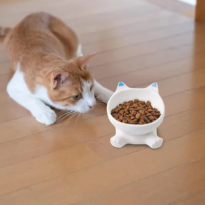 UAMLY Gamelle surélevée inclinée en céramique pour chat