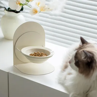 UAMLY Gamelle pour chat en céramique avec support en métal