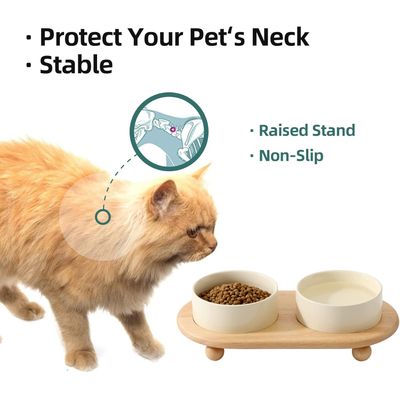 UAMLY Gamelle surélevée en céramique pour nourriture et eau pour chat