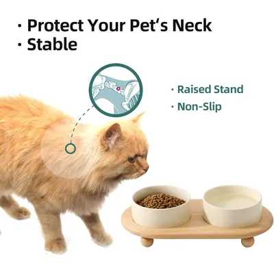 UAMLY Gamelle surélevée en céramique pour nourriture et eau pour chat