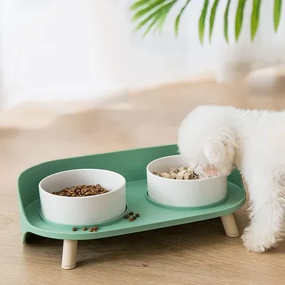 UAMLY Gamelle double en céramique pour chat