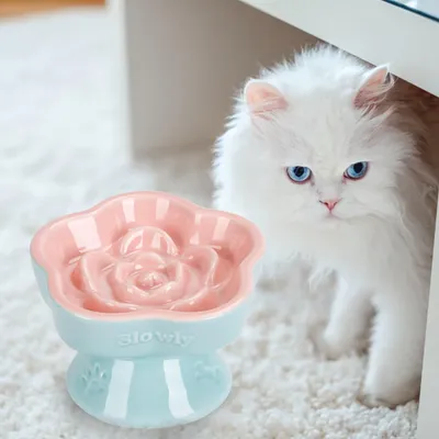 UAMLY Gamelle Slow Food en forme de fleur pour chat