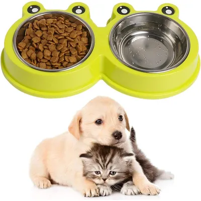 UAMLY Gamelles doubles pour chats en acier inoxydable