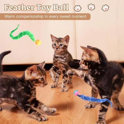 UAMLY Balle Rebondissante Chat, avec Plumes