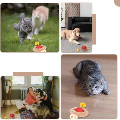 UAMLY Chat sautant avec une balle