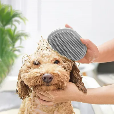 UAMLY Brosse de nettoyage et de massage pour chat