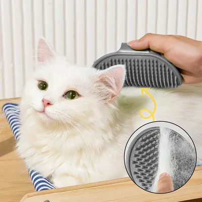 UAMLY Brosse de nettoyage et de massage pour chat