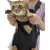 UAMLY Sac à dos de transport pour chat avant