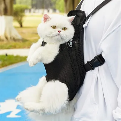UAMLY Sac à dos de transport pour chat avant UAMLY Sac à dos de transport pour chat avant