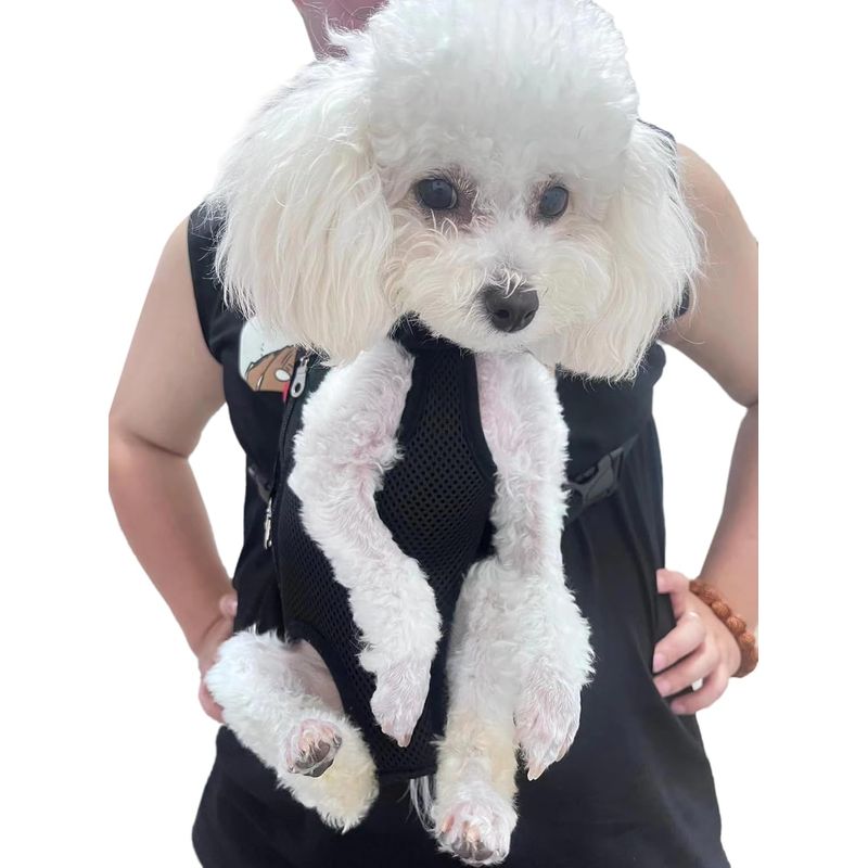 UAMLY Sac à dos de transport pour chat avant