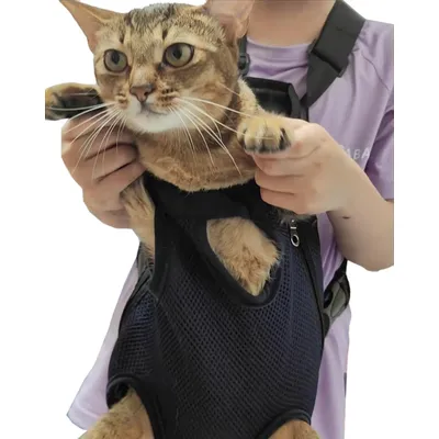 UAMLY Sac à dos de transport pour chat avant
