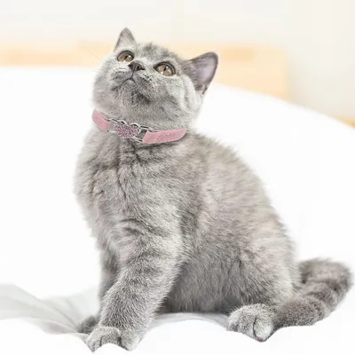 UAMLY Collier pour chat en strass en forme de cœur