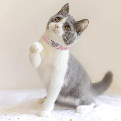 UAMLY Collier pour chat en strass en forme de cœur