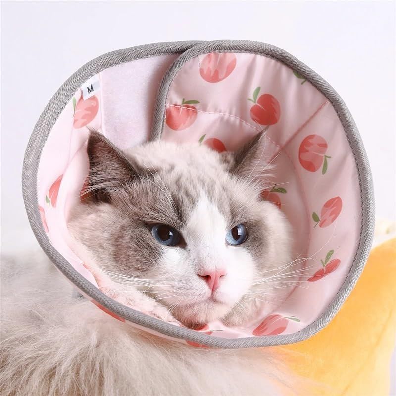 UAMLY Collier anti-morsures pour chat