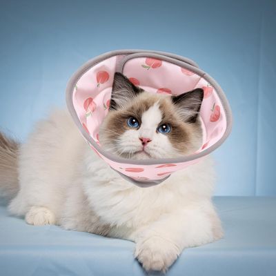 UAMLY Collar anti-mordeduras para gatos