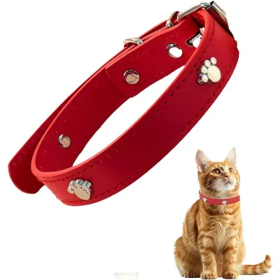 UAMLY Collier en cuir pour chat