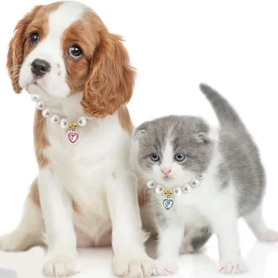 UAMLY Collier de perles pour chat