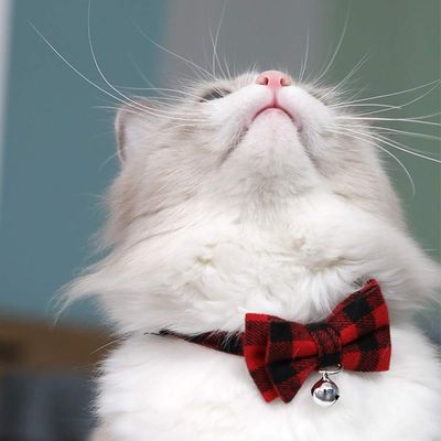 UAMLY Collar para gato con lazo a cuadros