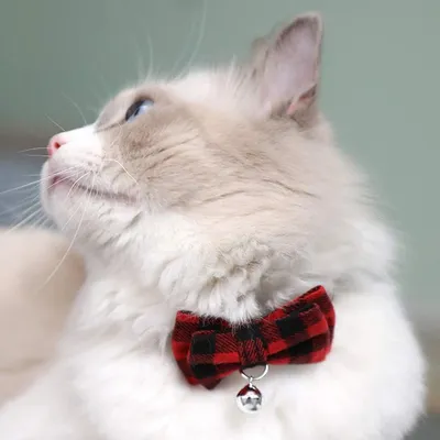 UAMLY Collier pour chat avec nœud à carreaux