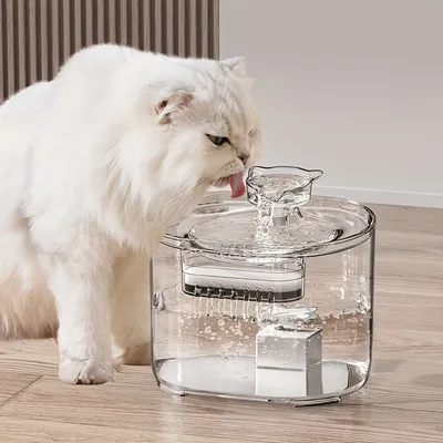 UAMLY Fontaine à eau automatique transparente pour chat