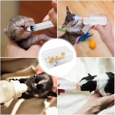 UAMLY Chaton Biberons d'allaitement, Seringues