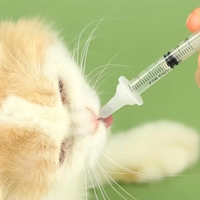 UAMLY Biberones y jeringas para gatitos