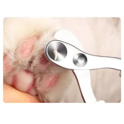 UAMLY Coupe-griffes à trou rond pour chats