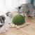 UAMLY Griffoir pour chat en forme de tortue